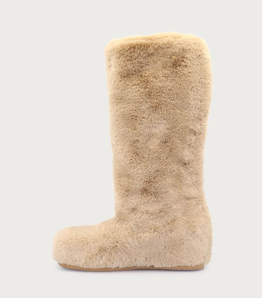 Bota Davi