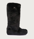 Bota Davi